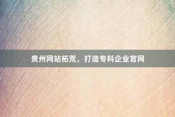 贵州网站拓荒，打造专科企业官网