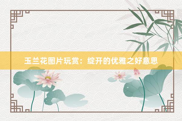玉兰花图片玩赏：绽开的优雅之好意思