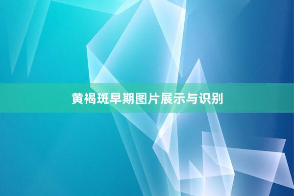 黄褐斑早期图片展示与识别
