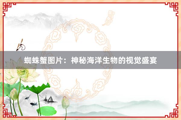 蜘蛛蟹图片：神秘海洋生物的视觉盛宴