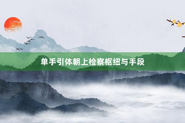 单手引体朝上检察枢纽与手段