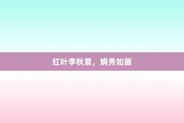 红叶李秋景,娟秀如画